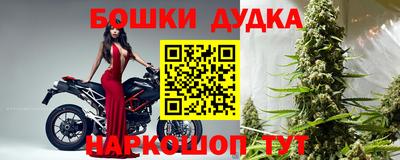прущие крисы Партизанск