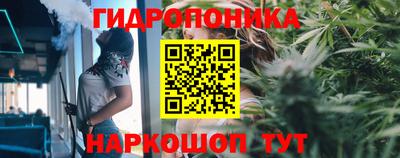 прущие крисы Партизанск