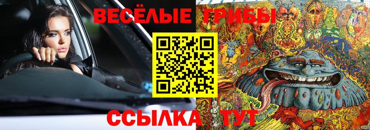 Галлюциногенные грибы мицелий  Галлюциногенные грибы GOLDEN TEACHER  Вход с VPN  Туапсе 