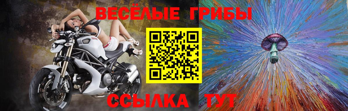 Галлюциногенные грибы мицелий Туапсе